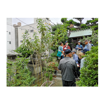 若宮八幡（若宮町）１