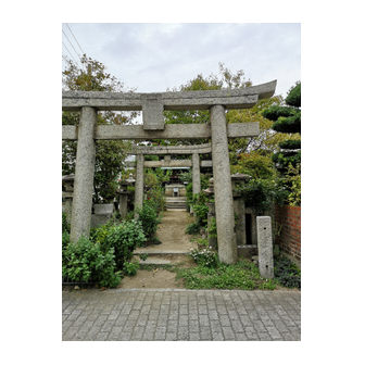 若宮八幡宮（若宮町）２