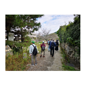 サンサンロード（周南市湯野）