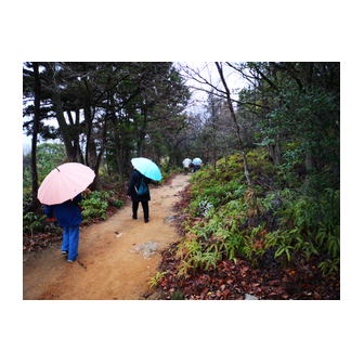 大野西国街道　1